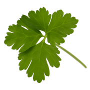 Shape Image