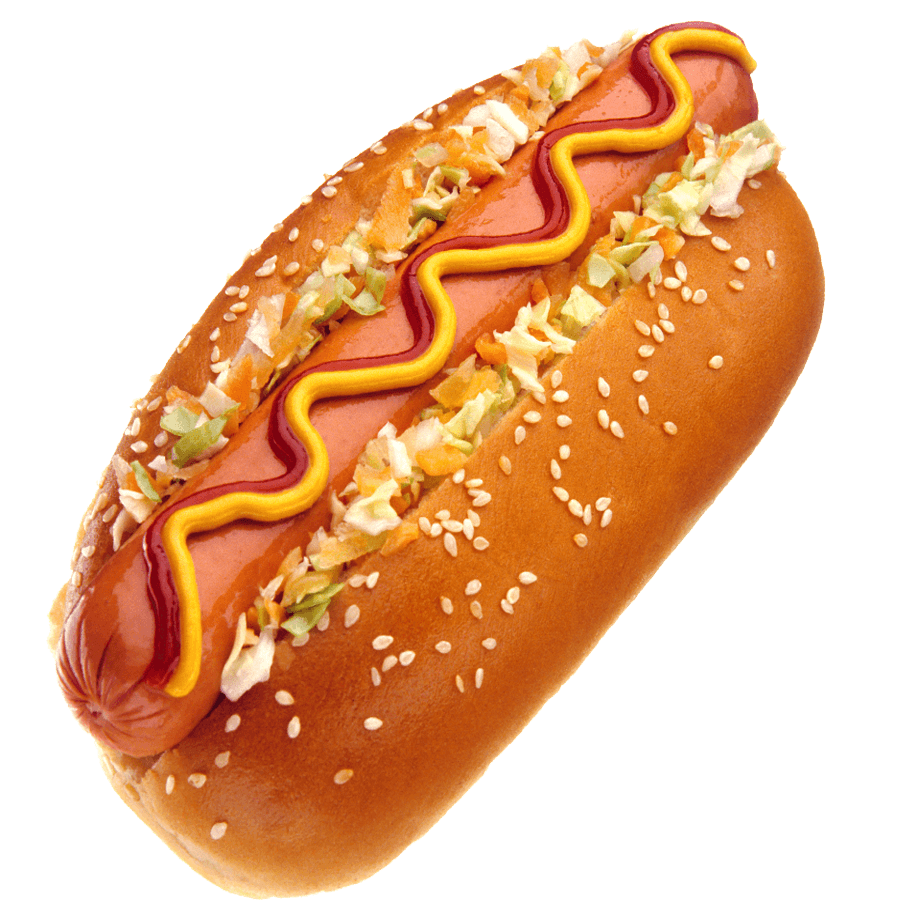 PERRITO 1